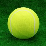 Мяч для большого тенниса самый дешёвый s-dostavka - магазин СпортДоставка. Спортивные товары интернет магазин в Новошахтинске 