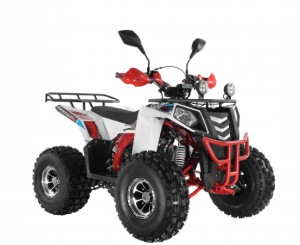 Квадроцикл Wels ATV THUNDER EVO 125 Х s-dostavka Белый - магазин СпортДоставка. Спортивные товары интернет магазин в Новошахтинске 